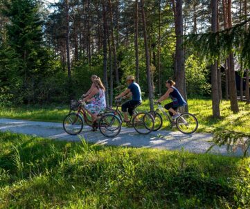 {{brizy_dc_image_alt imageSrc=